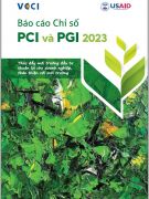 Báo Cáo PGI-PCI 2023