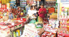 Mekong Delta sees slow progress in upgrade of trading households into companies