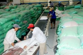 Cà Mau: Nhiều giải pháp nâng cao năng lực cạnh tranh