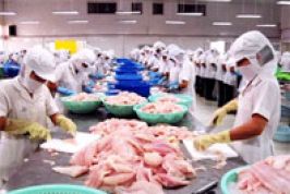 Kiên Giang - Hội nghị phân tích chỉ số năng lực cạnh tranh cấp tỉnh 2013