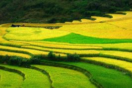 Kế hoạch cải thiện môi trường kinh doanh, nâng cao năng lực cạnh tranh tỉnh Hòa Bình