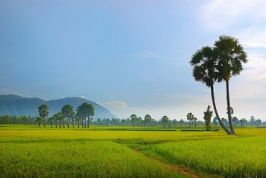 An Giang: Phát huy vai trò doanh nghiệp -  Kỳ I: Xây dựng niềm tin