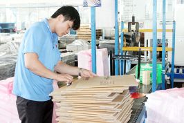 Đồng Nai: Chuẩn bị các điều kiện đón ''sóng'' FDI