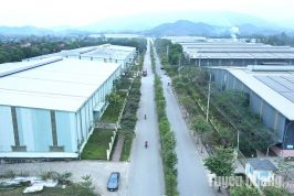 Tuyên Quang: Quyết tâm “cởi trói” thủ tục đất đai