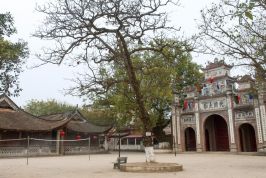 Bắc Ninh: Chỉ số DDCI năm 2019 thúc đẩy nâng cao chất lượng quản trị địa phương