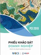 Phiếu khảo sát doanh nghiệp dân doanh 2019 mẫu B