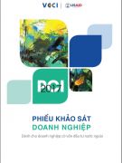 Phiếu khảo sát doanh nghiệp FDI 2017 mẫu B