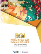 Phiếu khảo sát doanh nghiệp FDI 2018 mẫu B